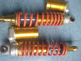 Shock victory  30
