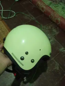 helm bogo carglos
