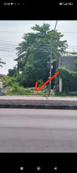 Dijual BU Murah tanah pinggir jalan Pantura Propinsi Tanjung - Brebes
