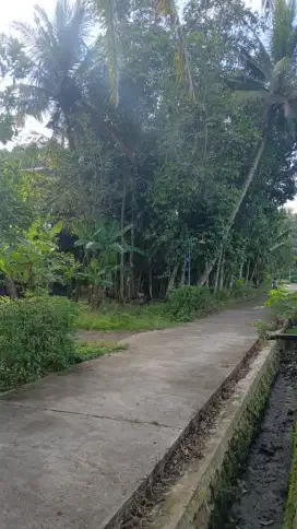 TANAH DIJUAL KURAHAN,SANDEN,VIEW SAWAH, LINGKUNGAN BAGUS