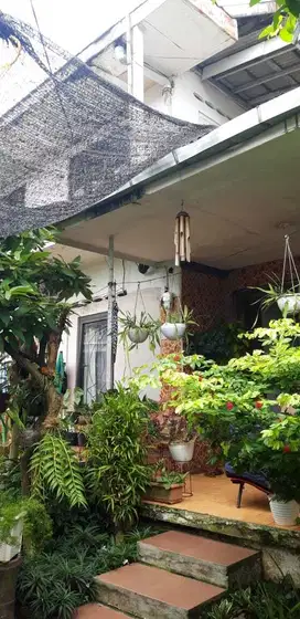 Rumah Asri  Full Tanaman Masuk Motor, Dekat Stasiun Gunung Batu Bogor