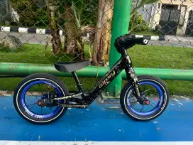 Pushbike Gipsy Carbon