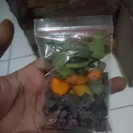 Jamu godog promil (program hamil) wanita & pria