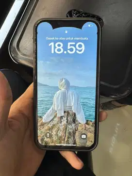 iPhone 13 Pro Max Dual Nano Sim 256 gb