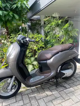 Scoopy keyles 2021