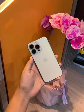 13 pro 256 gold second resmi beacukai