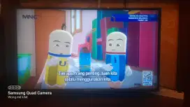 Led LG 43inc digital tv