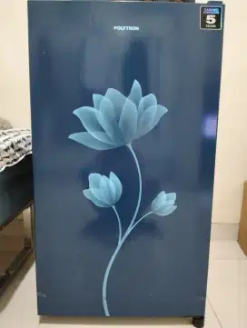 Kulkas poLytron