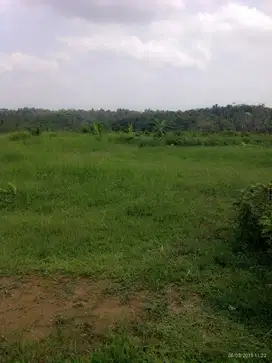 Dijual Tanah Siap Pakai bisa dibangun Villa/Resort/Hotel/Kantor/Taman