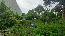 Tanah Tembalang Bulusan Selatan Undip