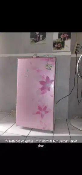 kulkas 1 pintu sharp