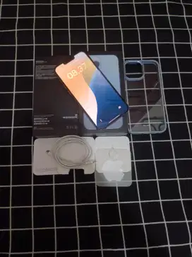 IPHONE 13 PRO MAX 256 INTER