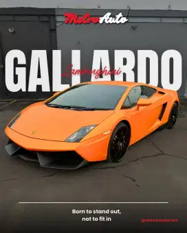 Lamborghini Gallardo 50th anniv 2013 Gallardo 550-2