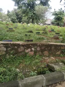 Jasa potong / cabut rumput