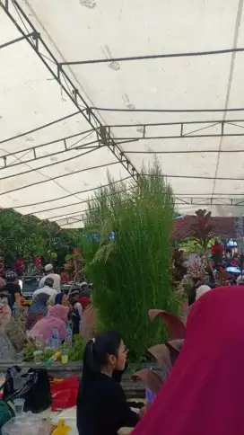 jasa bersih rumah dan mengasuh anak