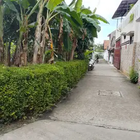 Tanah didaerah gandul cocok untuk cluster