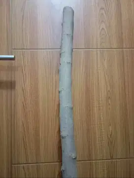 Kayu Klengkeng Lanang
