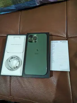 iPhone 13 PM Pro Max Alpine Green Ex iBox 256 GB MULUS
