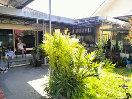 TERMURAH RUMAH BUNGA BUNGA LUAS 236