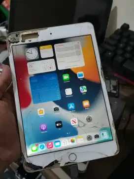 iPad mini 4 64gb wifi only