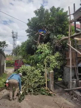Jasa tebang pohon lngsung kontak d foto profil ya