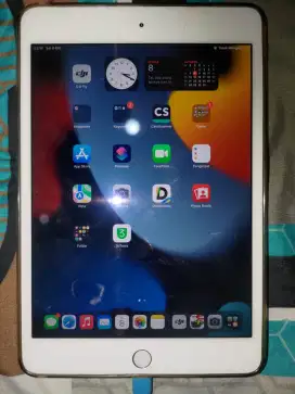 IPad Mini 4 Wifi 64gb
