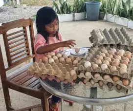 Telur ayam kampung