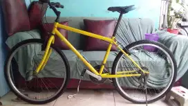 Mtb polygon R 26 cat repaint