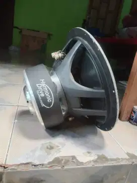 Subwoofer Harmonic Drive