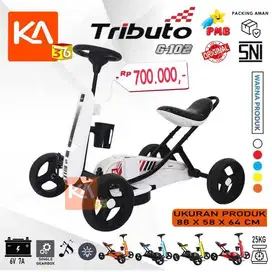 Gokart Untuk Anak Gokart Tributo PMB G102 Aki Berat Max 25 KG