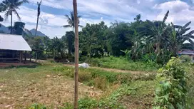 Jual Tanah 1000 meter