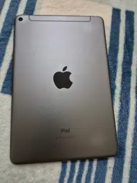 Ipad Mini 5 64GB wifi/cell