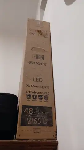 TV SONY 48 INCH