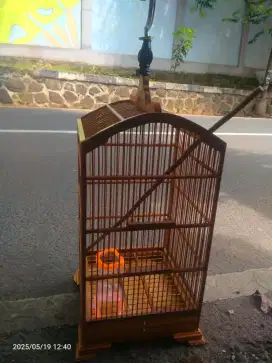 Sangkar burung kosan untuk ciblek 27x27cm