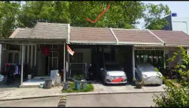 Disewakan Dijual Rumah Perbulan Cifest