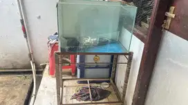 Aquarium 40x60 Bonus Filter Kaca dan Rak Besi