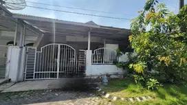 Dijual Rumah Murah Pondok Tjandra Jalan Manggis Kosongan 1 Lantai