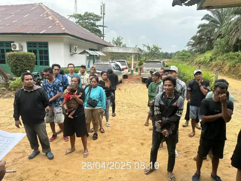 Lowongan perkebunan sawit