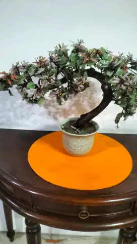 Bonsai batu jade