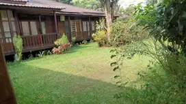 Rumah Villa Jual Setengah Harga Dengan Bangunan Eksotik Dan Elegan Dik