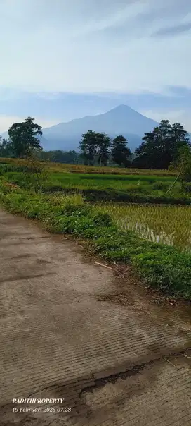 DI JUAL TANAH AREA WISATA TRAWAS PANORAMA GUNUNG PENANGGUNGAN
