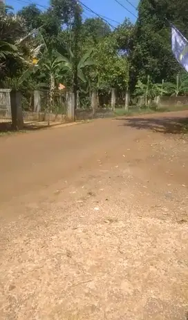 Tanah Murah Lokasi Bagus Dekat Ciputra Jonggol