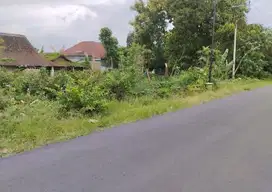 TANAH KAVLING DESA SIMBATAN NGUNTORONADI MAGETAN
