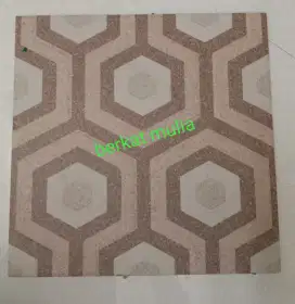 Keramik ukuran 25x25 kasar