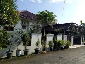 jual rumah Asri full furnished plus  kolam renang