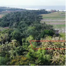 tanah murah dekat pantai tabanan kawasan villa