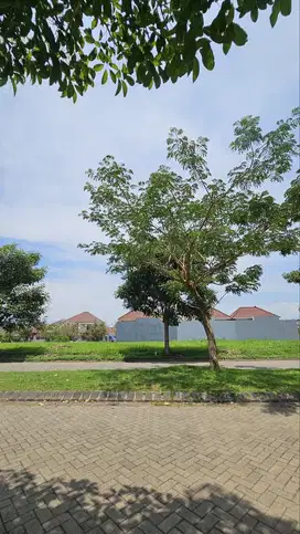 Dijual Tanah Kavling Lingkungan Nyaman di Graha Kencana, Malang