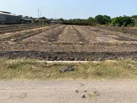 Tanah + Ada Gudang Raya Domas Menganti Gresik, 2 SHM