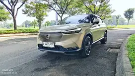 HRV SE  Sensing THN 2023 Tangan 1
