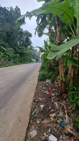 DIJUAL Tanah Pinggir Jalan Raya Tenjo dekat Podomoro Tenjo